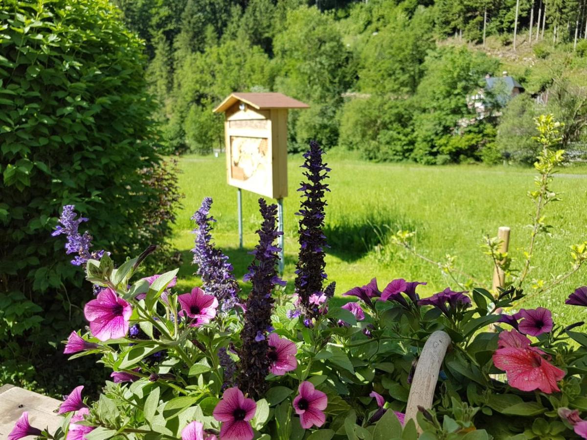 Apartamento Feriendomizil Wetzelberger Monichwald Exterior foto